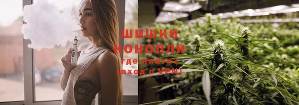 ГАЛЛЮЦИНОГЕННЫЕ ГРИБЫ Алексеевка