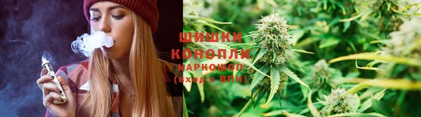 spice Алзамай