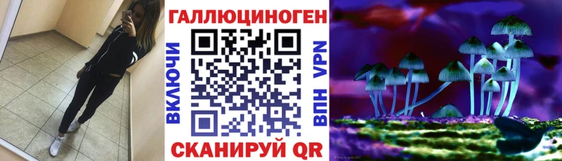 закладка Рошаль Псилоцибиновые грибы ЛСД