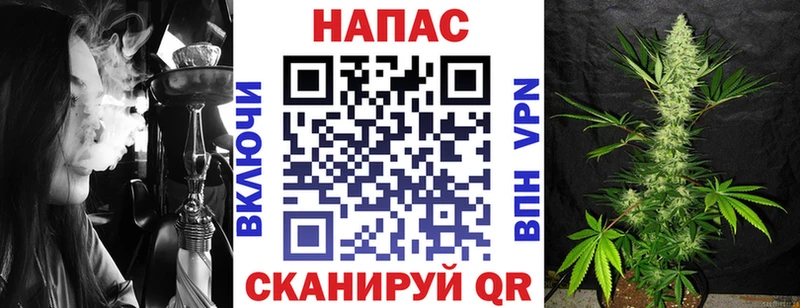 Шишки марихуана марихуана  Рошаль 